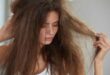 العناية بالشعر.. 4 ماسكات طبيعية لإصلاح الشعر التالف فى الشتاء