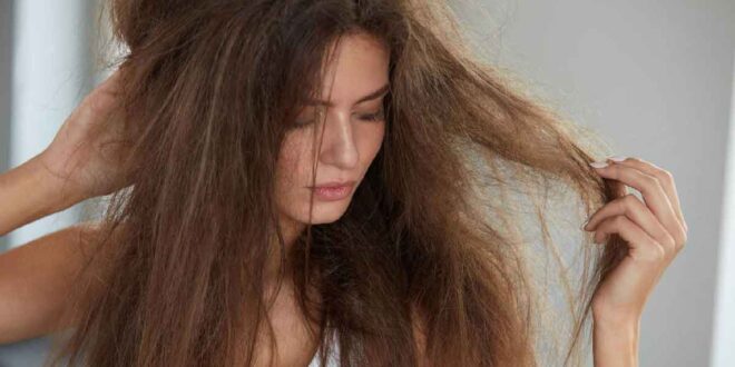 العناية بالشعر.. 4 ماسكات طبيعية لإصلاح الشعر التالف فى الشتاء