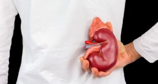 “بناء طائرة أسهل!”.. ابتكار كلية اصطناعية حيوية تحرر المرضى من مراكز الغسيل