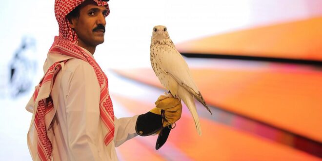 بيع أغلى صقر 'جير' بالعالم بمزاد فى السعودية