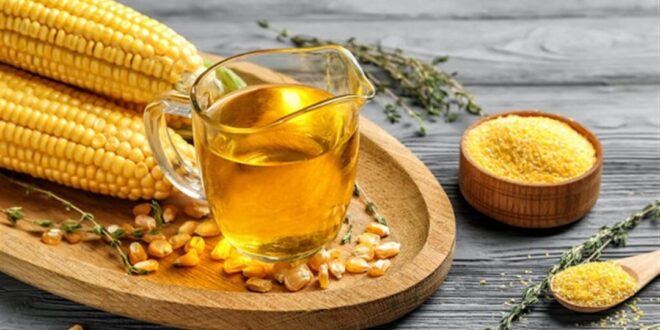 فوائد زيت الذرة.. ماذا يحدث للجسم عند تناول 4 ملاعق يوميًا؟