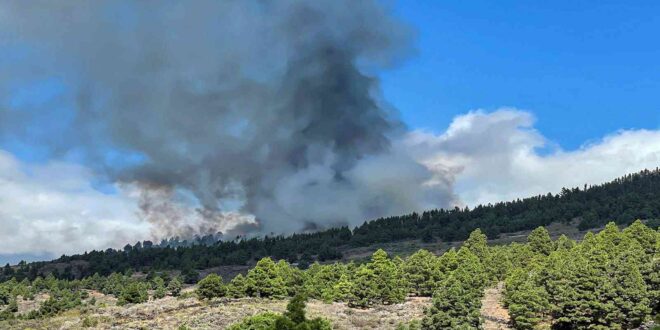 معجزة تحدث لمنزل بجزيرة لا بالما الإسبانية.. بركان ضرب جزر الكناري دون أن يُلحق أذى بالبيت