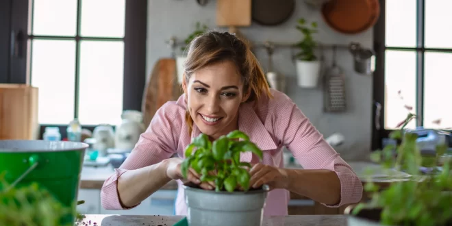 هل تستطيع النباتات أن “تستمع” إلينا وتتواصل فيما بينها؟