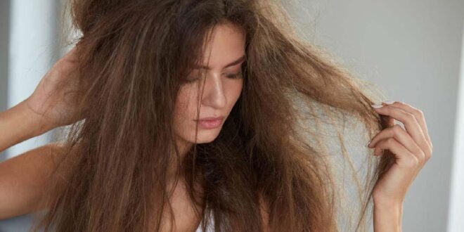 7 نصائح للحد من جفاف الشعر.. أبرزها تناول الفيتامينات