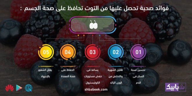 5 فوائد صحية تحصل عليها من التوت تحافظ على صحة الجسم