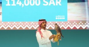 الأغلى قيمته 30 ألف.. بيع 3 صقور فى مزاد سعودى بـ70 ألف دولار