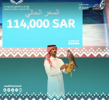 الأغلى قيمته 30 ألف.. بيع 3 صقور فى مزاد سعودى بـ70 ألف دولار
