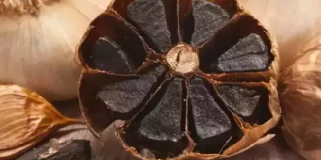 الفوائد الصحية للأطعمة السوداء.. تحسن المناعة وتحمى من السرطان