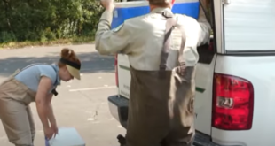 حديقة أمريكية تربى سلاحف مهددة بالانقراض وتطلقها فى الحياة البرية