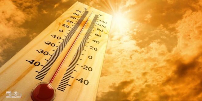 نصائح لتقوية الجهاز المناعي في الخريف.. تجنب السكريات
