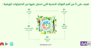 تعرف على 5 من أهم الفوائد الصحية التي تحصل عليها من الخضراوات الورقية