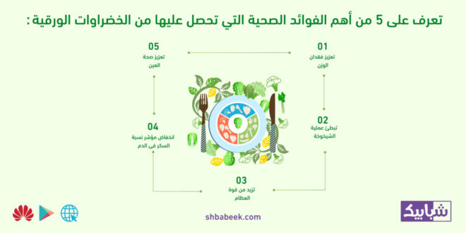 تعرف على 5 من أهم الفوائد الصحية التي تحصل عليها من الخضراوات الورقية