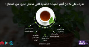 تعرف على 5 من أهم الفوائد الصحية التي تحصل عليها من النعناع