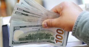 شركة نيوزيلندية تفاجئ موظفيها بمكافأة 10 آلاف دولار.. أنشأوا تطبيقاً تعليمياً كان الأسرع نمواً بالبلاد