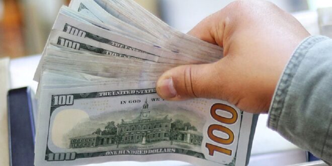 شركة نيوزيلندية تفاجئ موظفيها بمكافأة 10 آلاف دولار.. أنشأوا تطبيقاً تعليمياً كان الأسرع نمواً بالبلاد