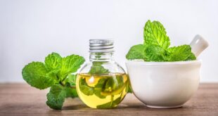 4 مشروبات تقلل من أعراض التهاب الزائدة الدودية ..منها الحلبة والنعناع