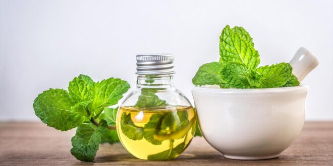 4 مشروبات تقلل من أعراض التهاب الزائدة الدودية ..منها الحلبة والنعناع