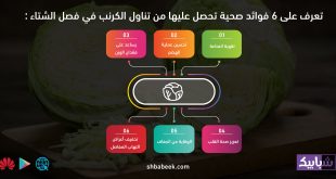 تعرف على 6 فوائد صحية تحصل عليها من تناول الكرنب في فصل الشتاء
