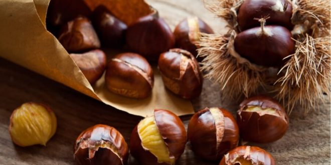 أضرار الكستناء: موجودة وتستدعي الحذر