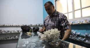 فلسطينى يحول منزله لمعرض أحجار كريمة جمعها خلال 5 سنوات