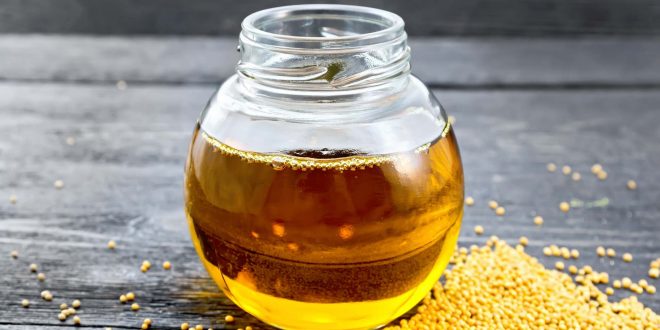 يعالج الالتهابات المسببة للسرطان ويعزز صحة القلب! ما هي فوائد زيت الخردل؟
