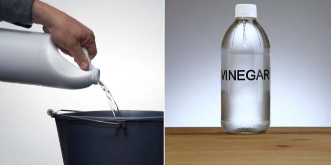 10 مواد عادية احذر من خلطها معًا وإلا حصلت كارثة!