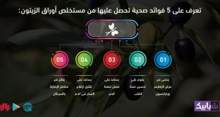 تعرف على 5 فوائد صحية تحصل عليها من مستخلص أوراق الزيتون