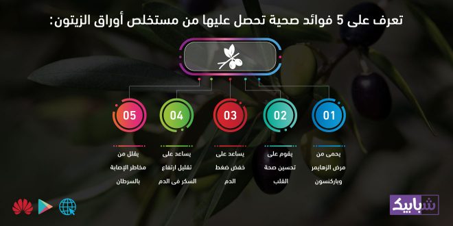 تعرف على 5 فوائد صحية تحصل عليها من مستخلص أوراق الزيتون