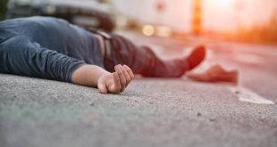 أحدهم طعنته دجاجة وعضة الهامستر قد تكون قاتلة!احترس، الحيوانات الأليفة قادرة على القتل أيضاً
