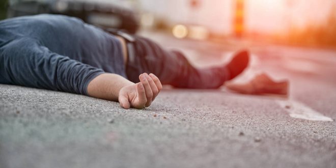 أحدهم طعنته دجاجة وعضة الهامستر قد تكون قاتلة!احترس، الحيوانات الأليفة قادرة على القتل أيضاً
