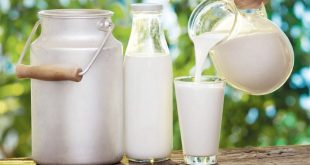 حافظ على صحتك وتجنب تناول الحليب مع هذه الأطعمة