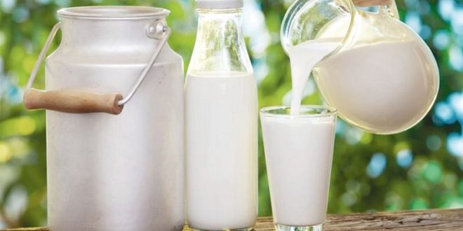 حافظ على صحتك وتجنب تناول الحليب مع هذه الأطعمة