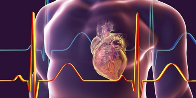 علاج ضيق الصمام الرئوي بالأعشاب: حقيقة أم خرافة؟