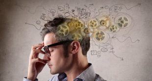 ما هو IQ test ؟وكيف يُستخدم لتحديد نسبة الذكاء؟