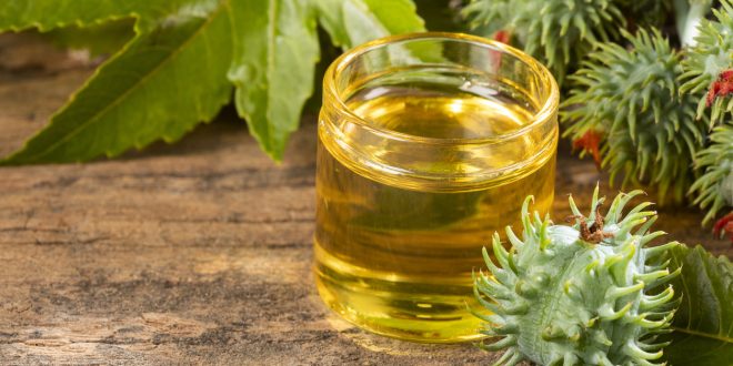 نعم مفيدة، لكن وضعها على رأسك سيكون مدمراً.. لا تضعي هذه الزيوت على شعرك أبداً
