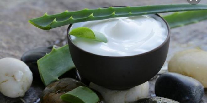 6 استخدامات مختلفة لجل الصبار.. مزيل طبيعى للمكياج ويهدئ حروق الشمس