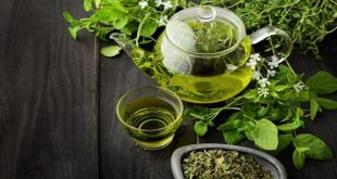 ما هي الفوائد الصحية للشاي الأخضر.. من حرق الدهون إلى خفض ضغط الدم