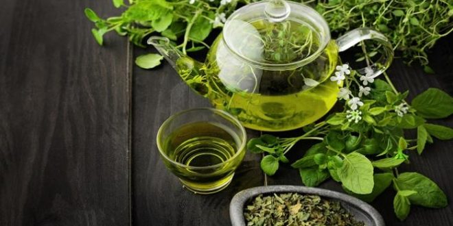 ما هي الفوائد الصحية للشاي الأخضر.. من حرق الدهون إلى خفض ضغط الدم