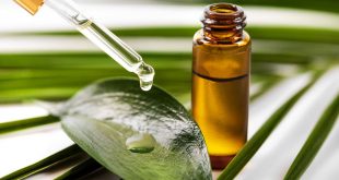 5 طرق طبيعية لعلاج التهابات اللثة.. أبرزها زيت شجرة الشاي