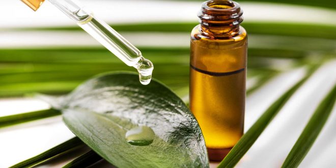 5 طرق طبيعية لعلاج التهابات اللثة.. أبرزها زيت شجرة الشاي
