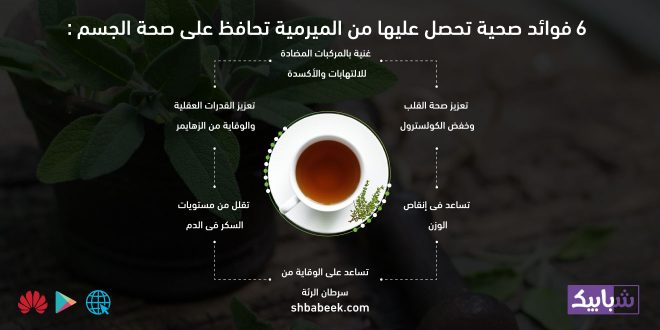 6 فوائد صحية تحصل عليها من الميرمية تحافظ على صحة الجسم