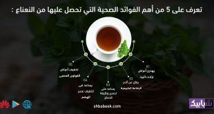 تعرف على 5 من أهم الفوائد الصحية التي تحصل عليها من النعناع