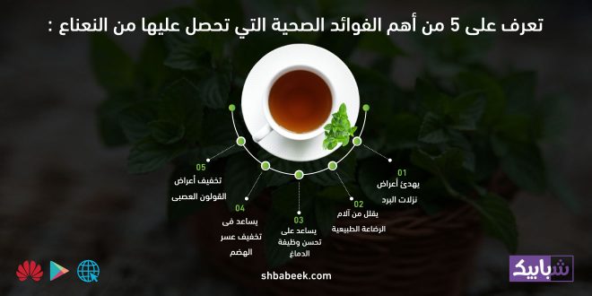 تعرف على 5 من أهم الفوائد الصحية التي تحصل عليها من النعناع
