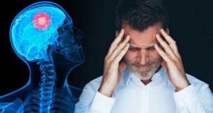أفضل 6 أطعمة لتعزيز صحة الدماغ.. تعرف عليها