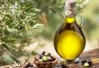 زيت الزيتون غنى بمضادات الأكسدة ويحميك من الأمراض.. اعرف فوائده