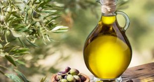 زيت الزيتون غنى بمضادات الأكسدة ويحميك من الأمراض.. اعرف فوائده