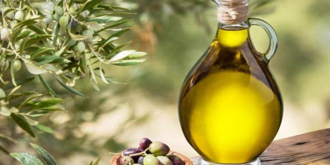 زيت الزيتون غنى بمضادات الأكسدة ويحميك من الأمراض.. اعرف فوائده