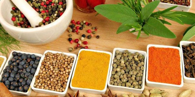 5 أعشاب لحرق الدهون تساعدك في إنقاص الوزن بسرعة