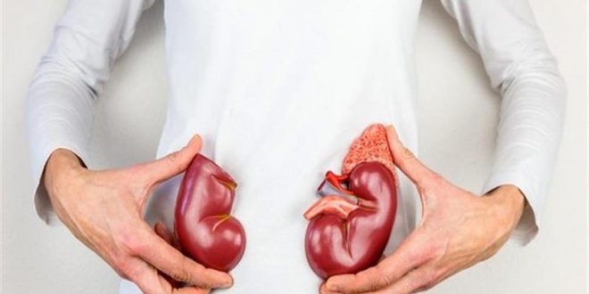 7 عادات يجب اتباعها للحفاظ على صحة الكلى