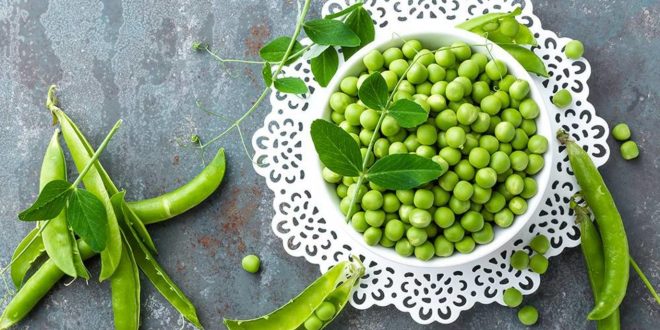تحارب السرطان وأمراض القلب.. 4 أسباب ستجعلك تُدرج البازلاء الخضراء في نظامك الغذائي